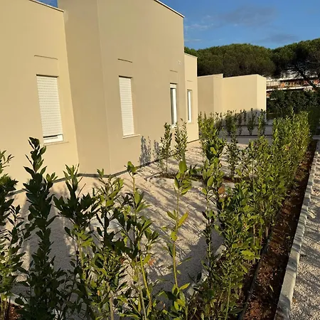 Niko 5 * Pratica di Mare